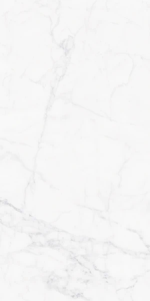 Snow 612-1